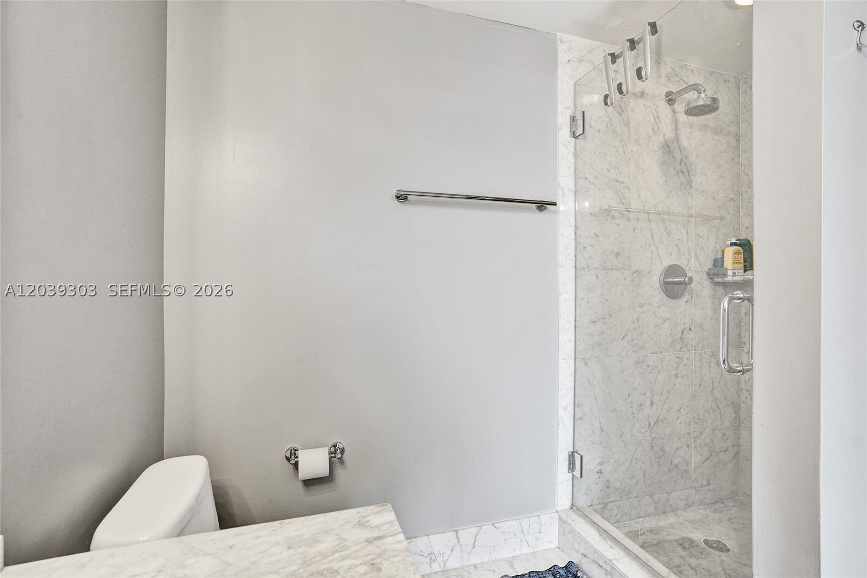 VIZCAYNE NORTH CONDO - Residential