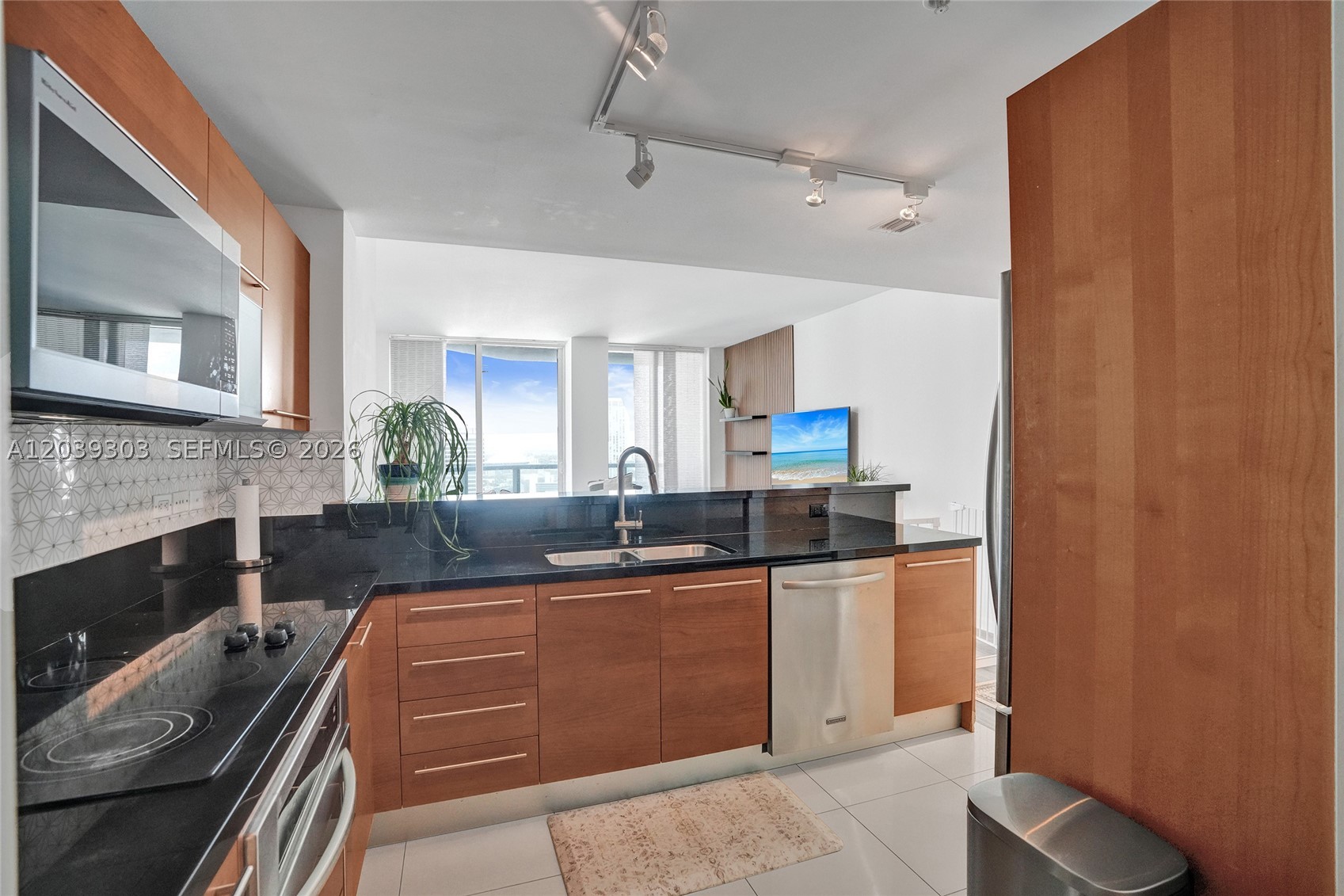 VIZCAYNE NORTH CONDO - Residential