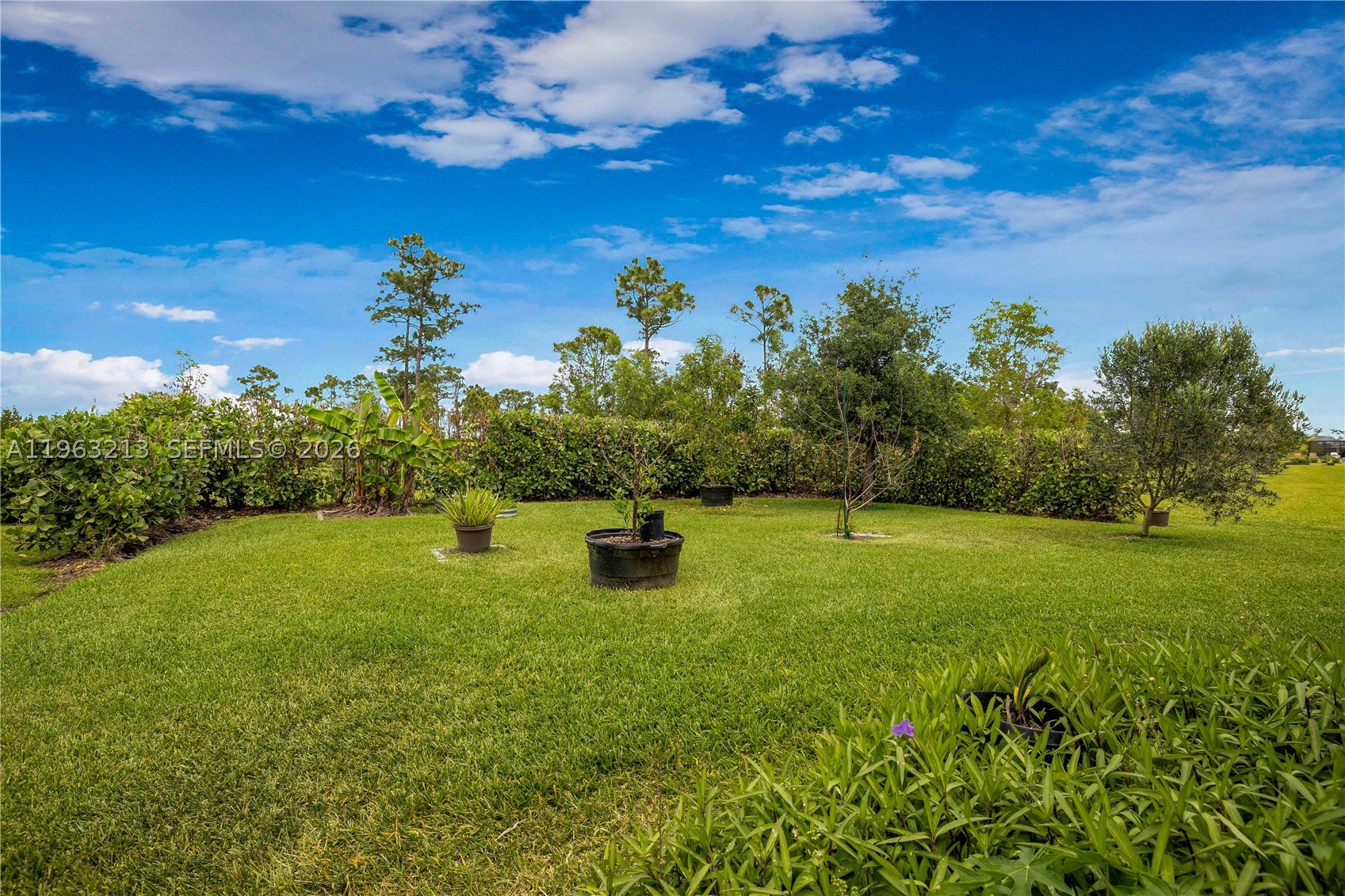 VERANDA PRESERVE WEST PHA - Residential