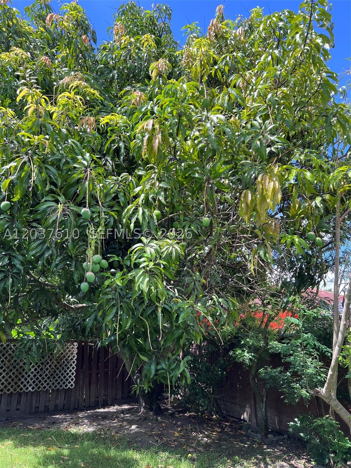 GARDEN HILLS WEST - Residential Lease