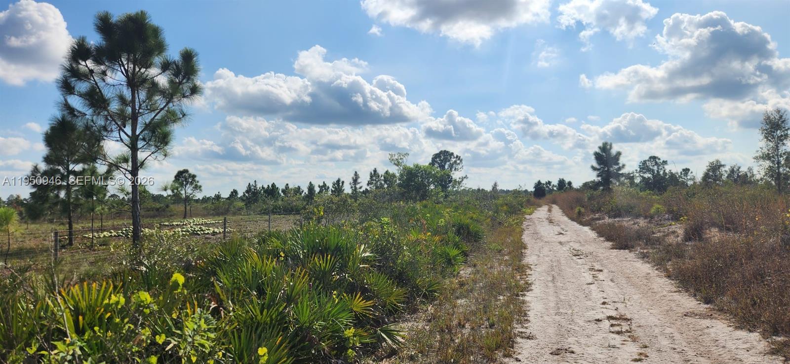 Punta Gorda - Land