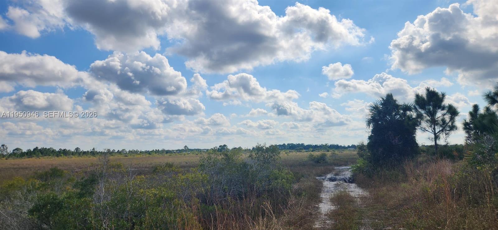 Punta Gorda - Land