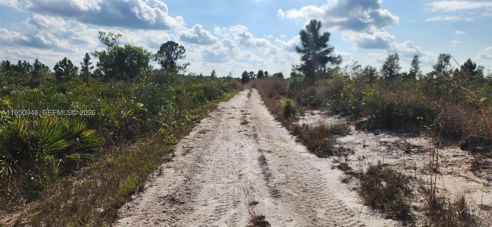Punta Gorda - Land