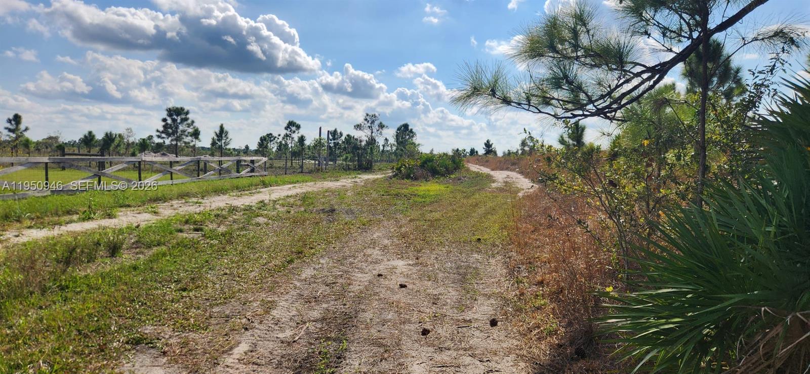 Punta Gorda - Land
