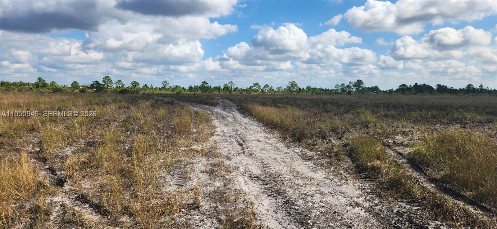Punta Gorda - Land