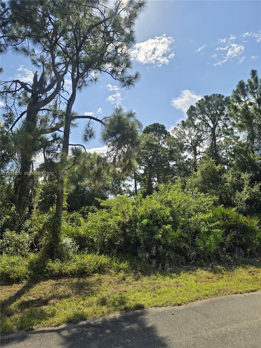 Lee County Unincorporated - Land