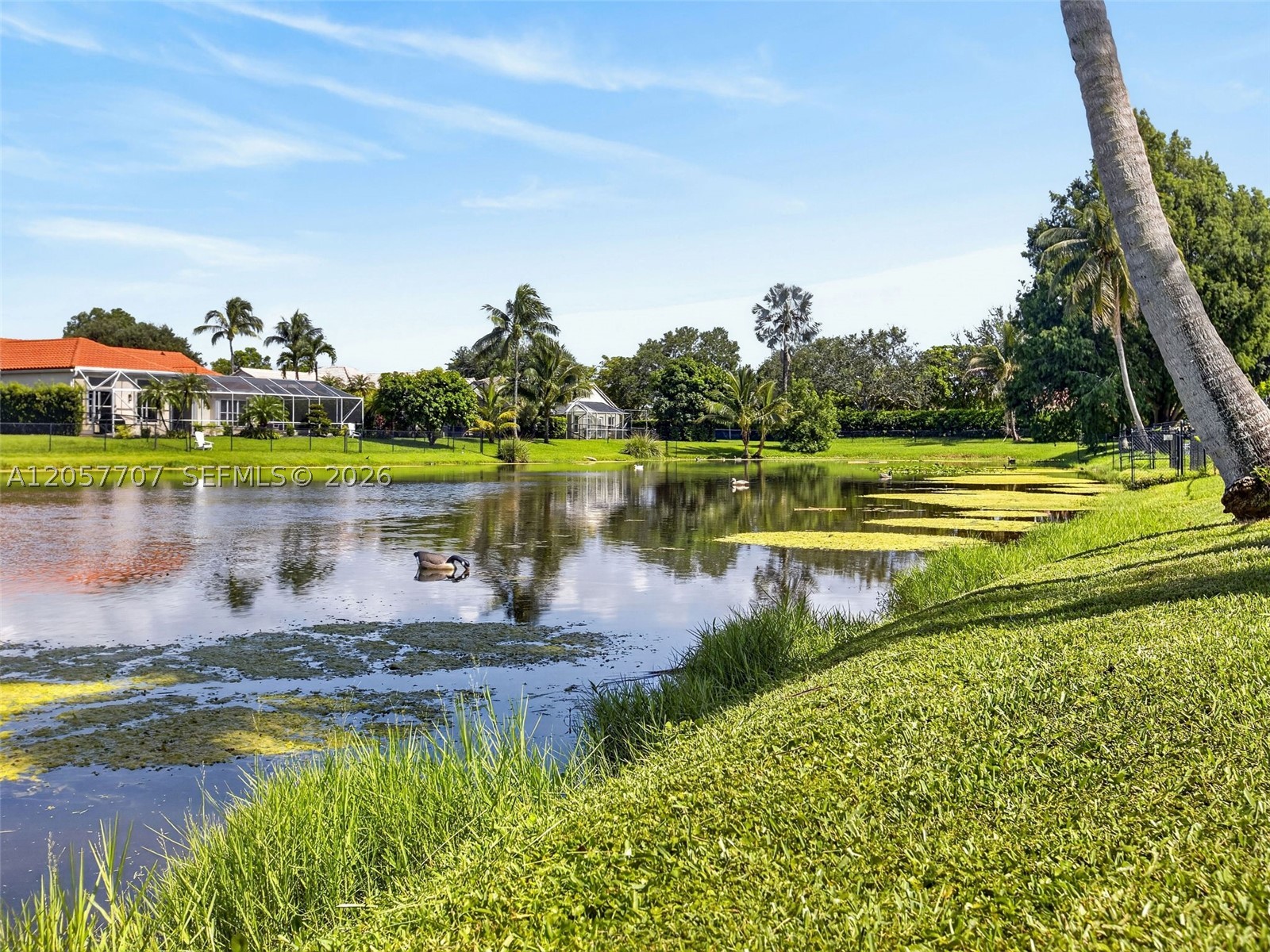 FOREST RIDGE CLUSTER HOME - Residential
