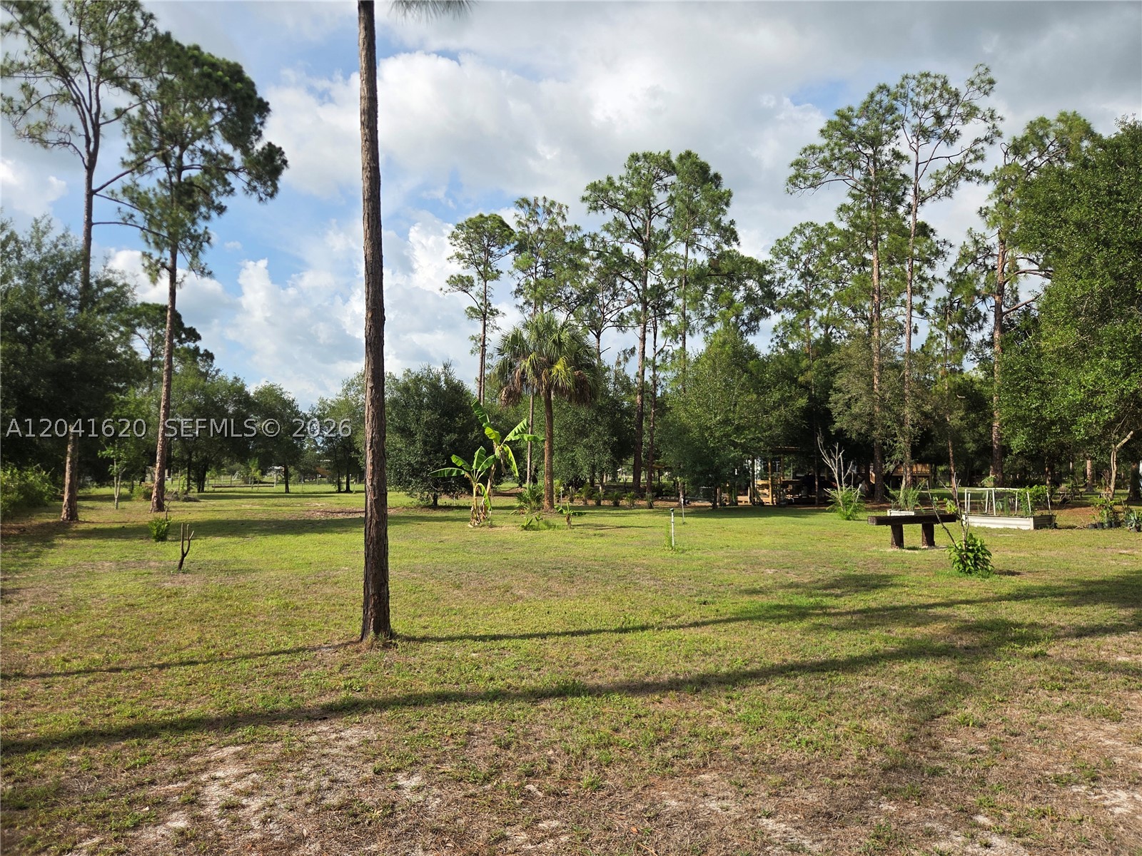 Pioneer Plantation - Residential