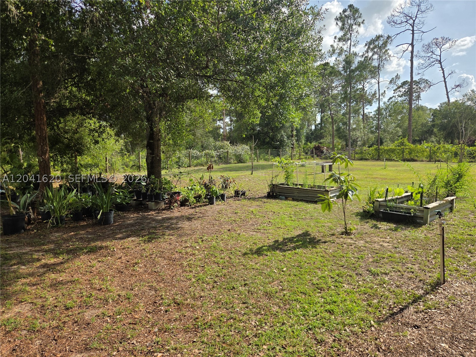 Pioneer Plantation - Residential