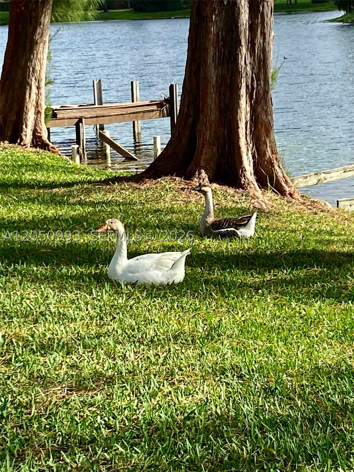 EVERGLADES SUGAR & LAND C - Residential