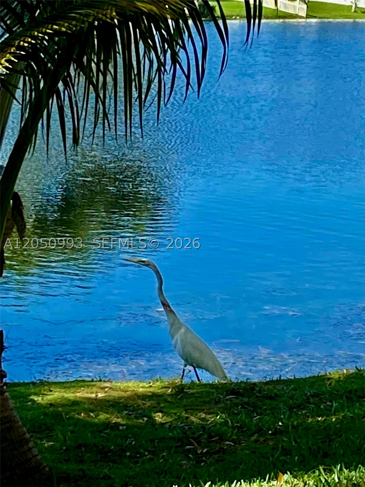 EVERGLADES SUGAR & LAND C - Residential