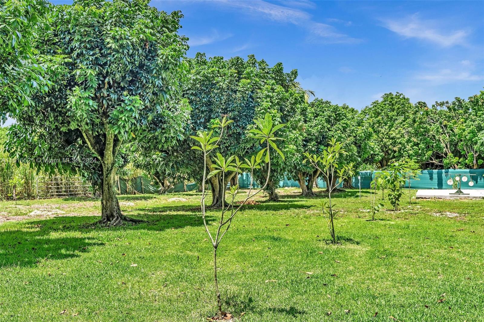The Redlands - Residential