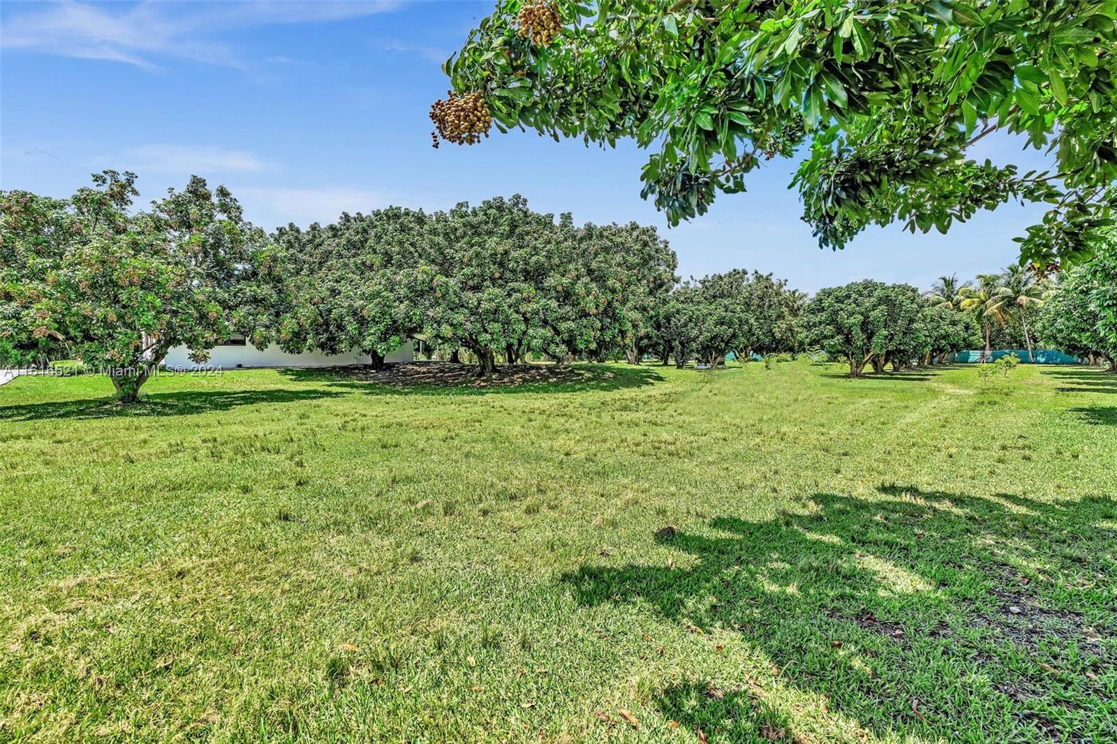 The Redlands - Residential