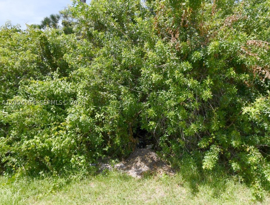 Positioned in a growing Florida community, this property offers an excellent opportunity for development, investment, or future use. As population growth and infrastructure improvements continue to drive demand throughout the region, land opportunities like this are becoming increasingly scarce. Whether you're planning to build now or hold for future appreciation, this parcel is a smart addition to any portfolio.