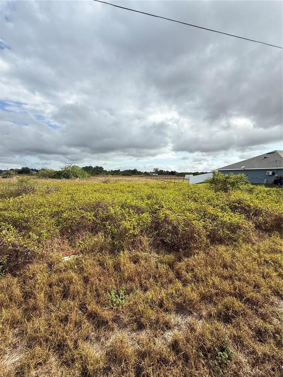 Lehigh Acres - Land