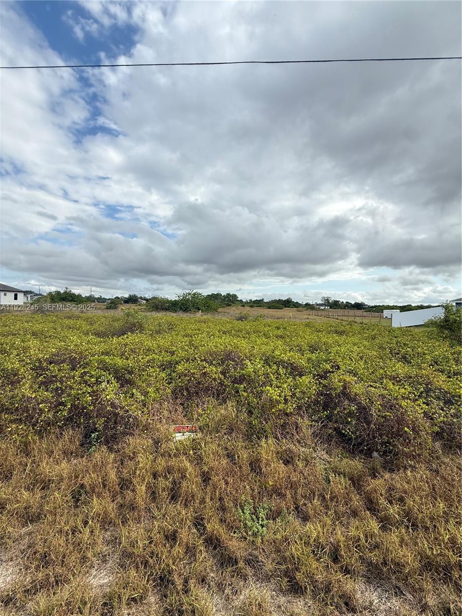 Lehigh Acres - Land