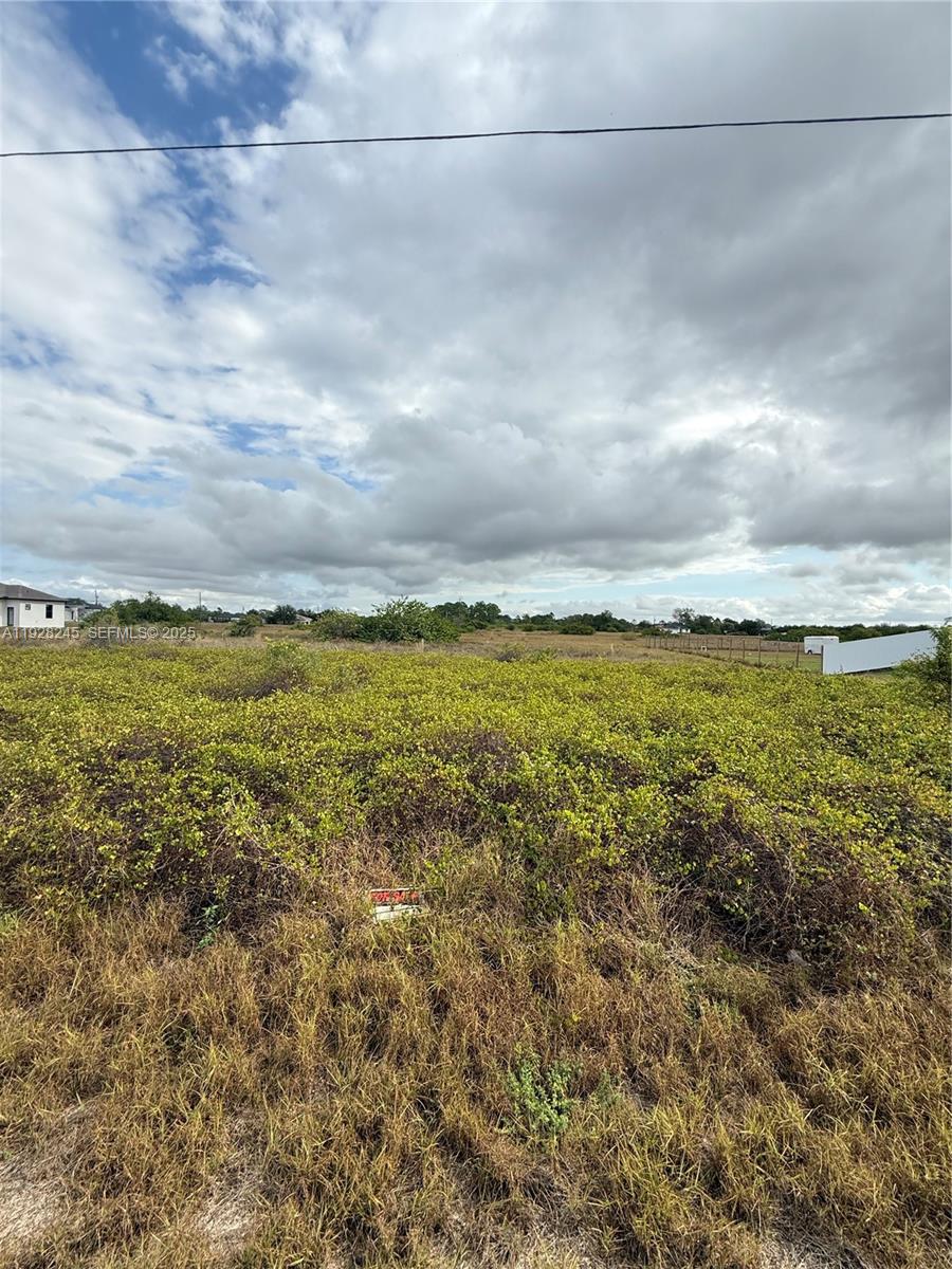 Lehigh Acres - Land