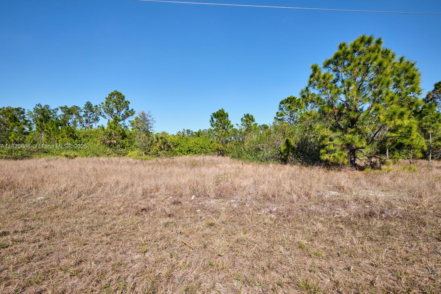 LEHIGH ACRES - Land