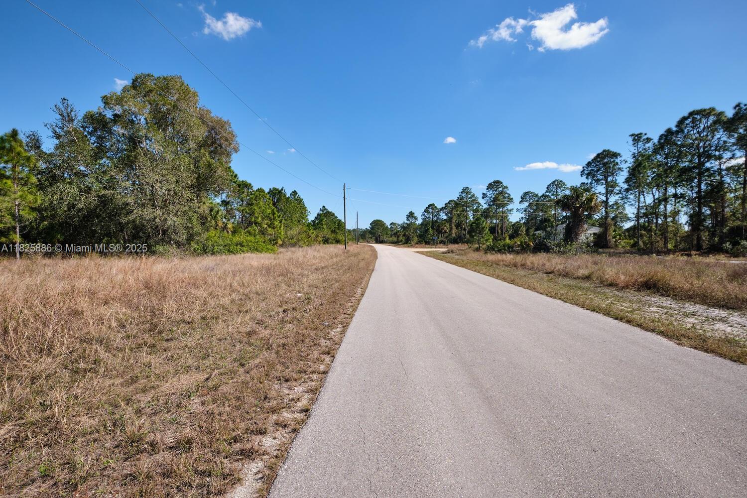 LEHIGH ACRES - Land