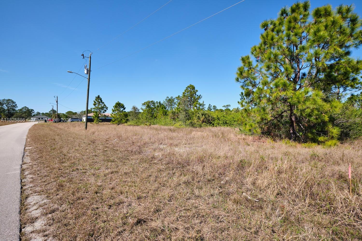 LEHIGH ACRES - Land