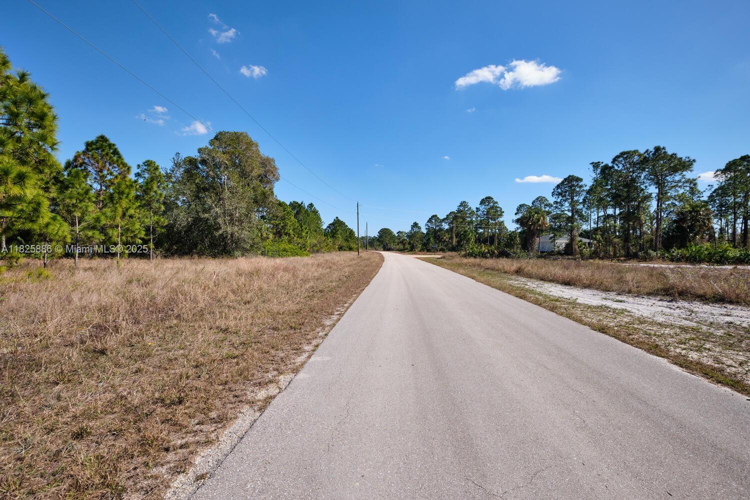 LEHIGH ACRES - Land