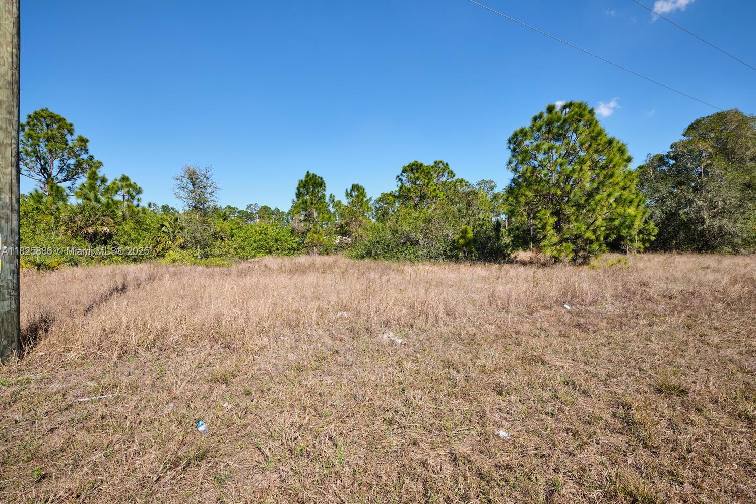 LEHIGH ACRES - Land