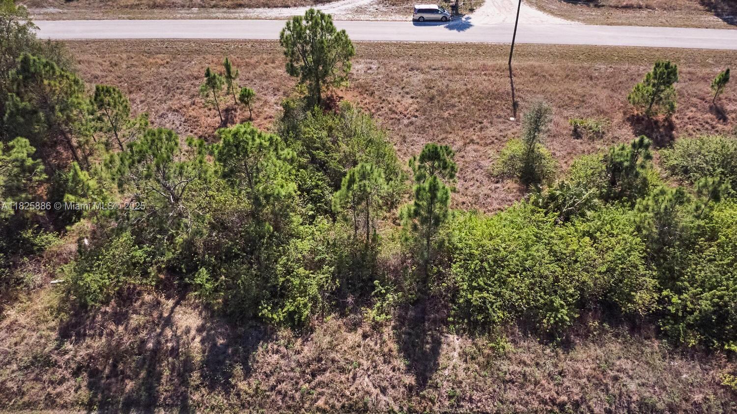 LEHIGH ACRES - Land