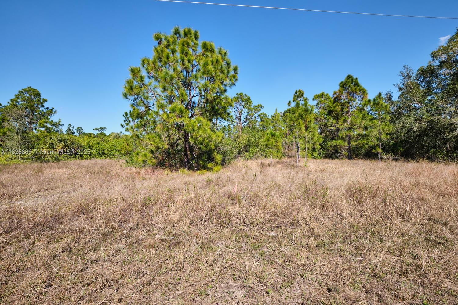 LEHIGH ACRES - Land