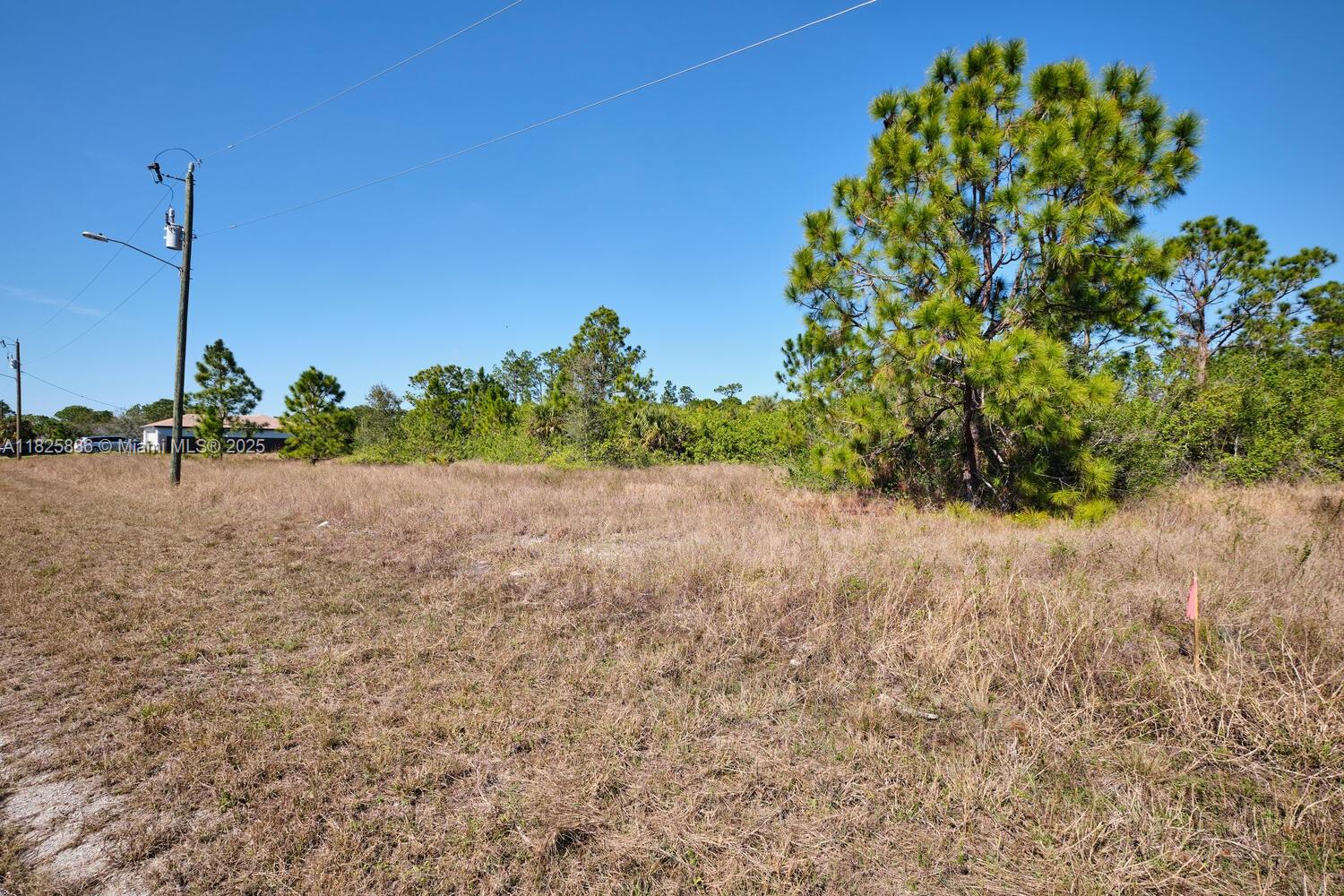 LEHIGH ACRES - Land