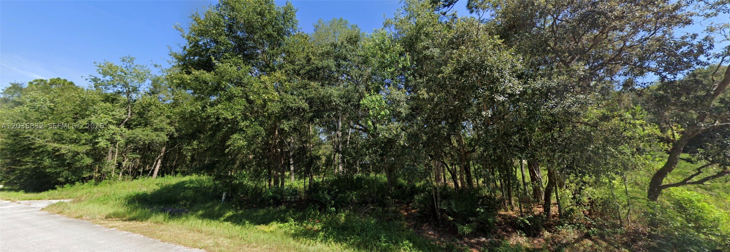 Ocala Estates - Land