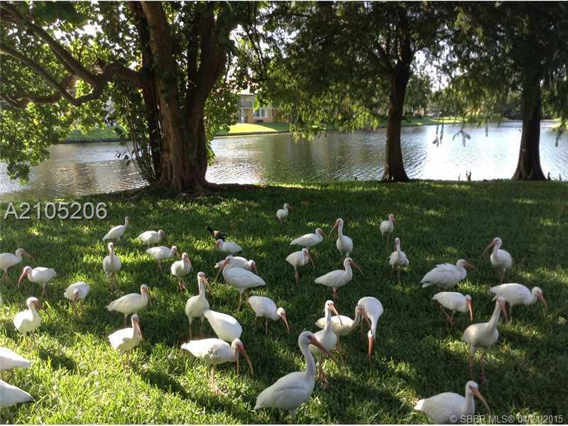 EVERGLADES SUGAR & LAND C - Residential Lease