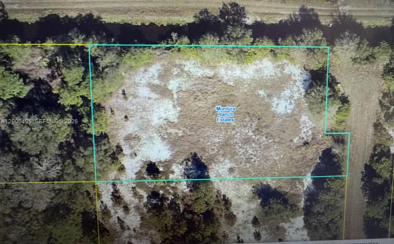 Great opportunity to own  a 0.99 acre  lot in Montura Ranch Estates! Zoned RRF, ideal for residential, agricultural, or recreational use. No HOA. Perfect for building your dream home, placing a mobile home, or investing in land. Enjoy privacy and wide open spaces while still being withing driving distance to Clewiston, Labelle and South Florida.  Priced to sell.
Great investment opportunity. Buyer to verify all land use and building requirements.