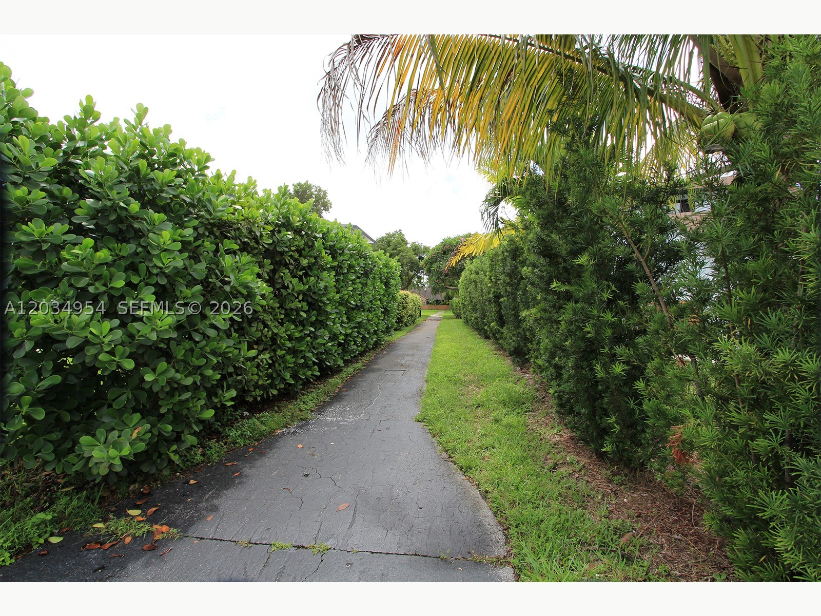 JUNIPER AT THE HAMMOCKS - Residential Lease