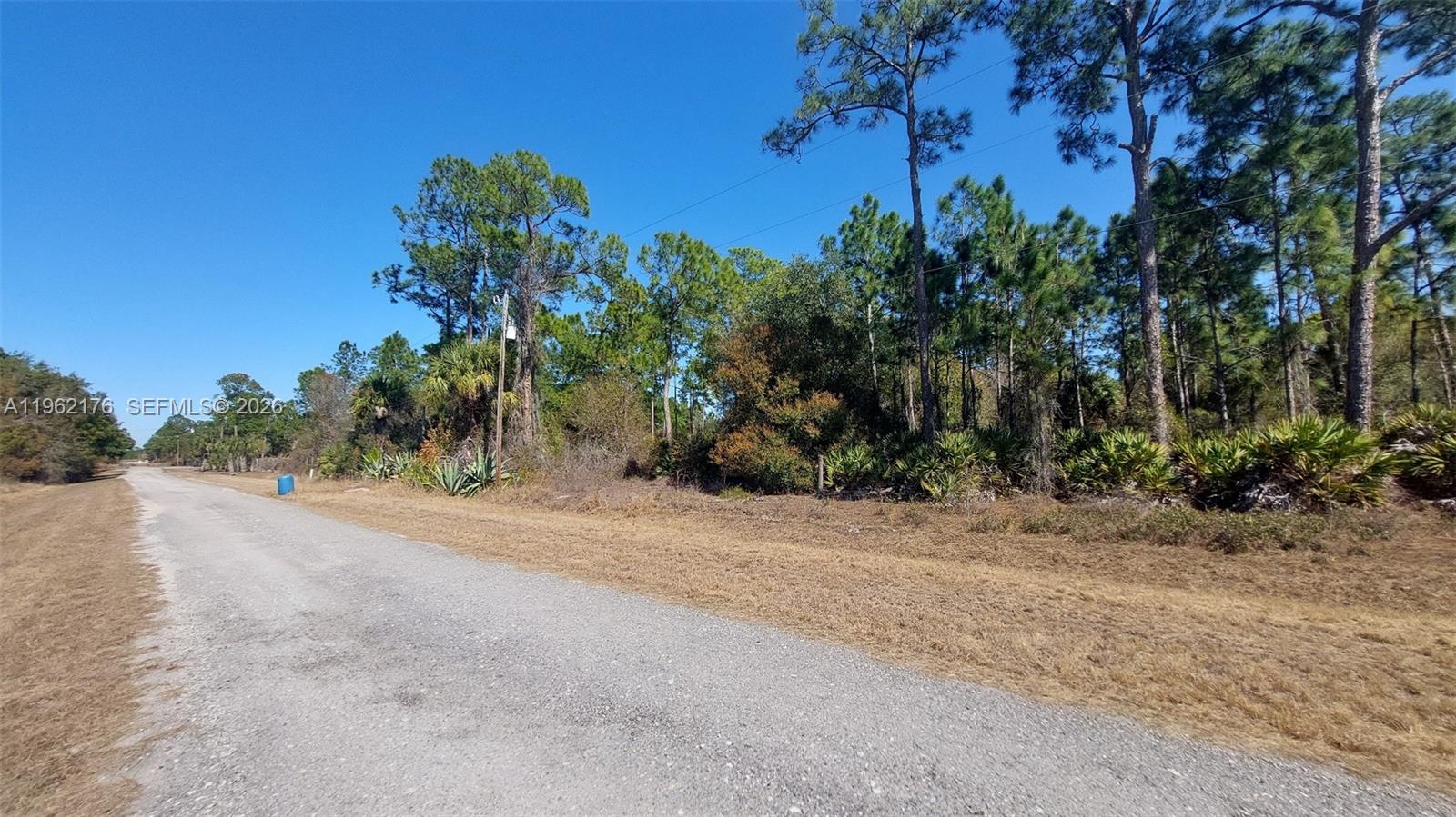 Montura Ranch Estates - Land