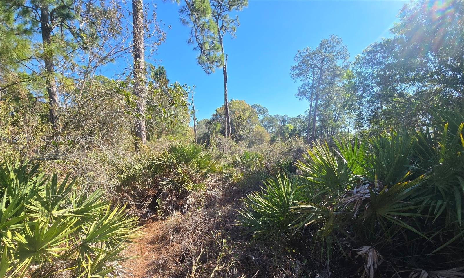 Montura Ranch Estates - Land