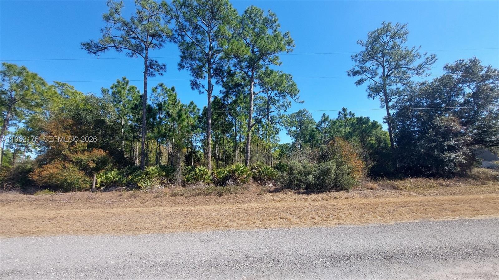 Montura Ranch Estates - Land