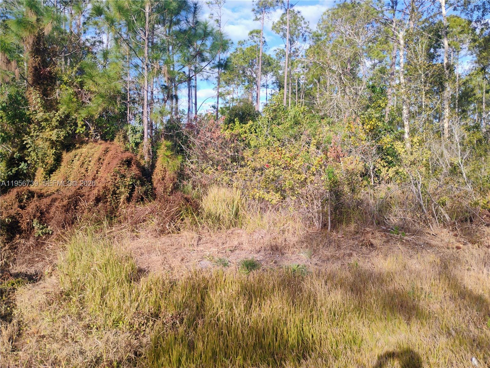 SUN N LK SEB UNIT 10 - Land