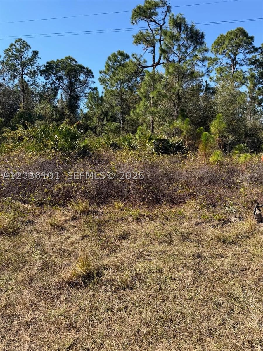 Lehigh Acres - Land