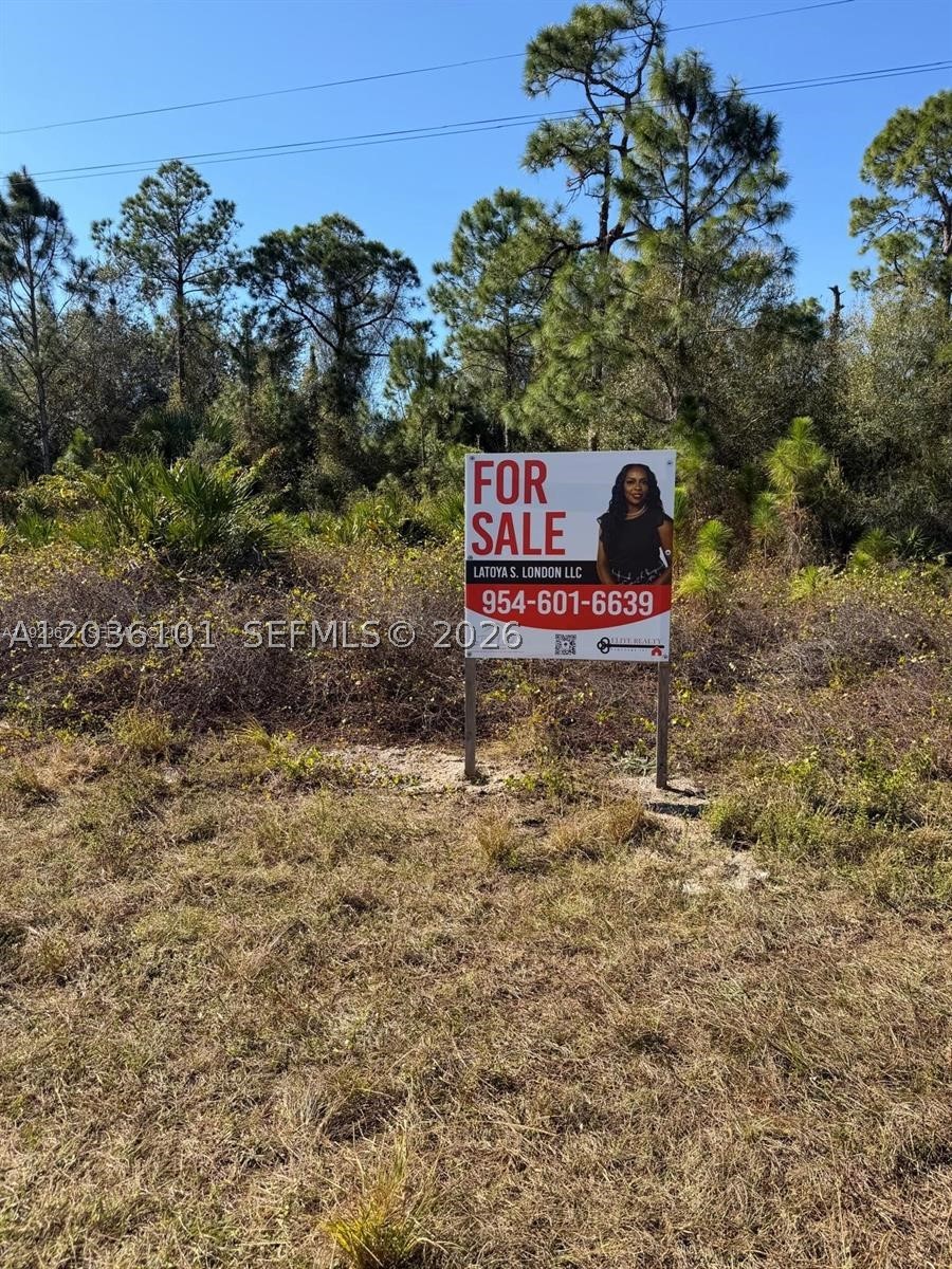 Lehigh Acres - Land