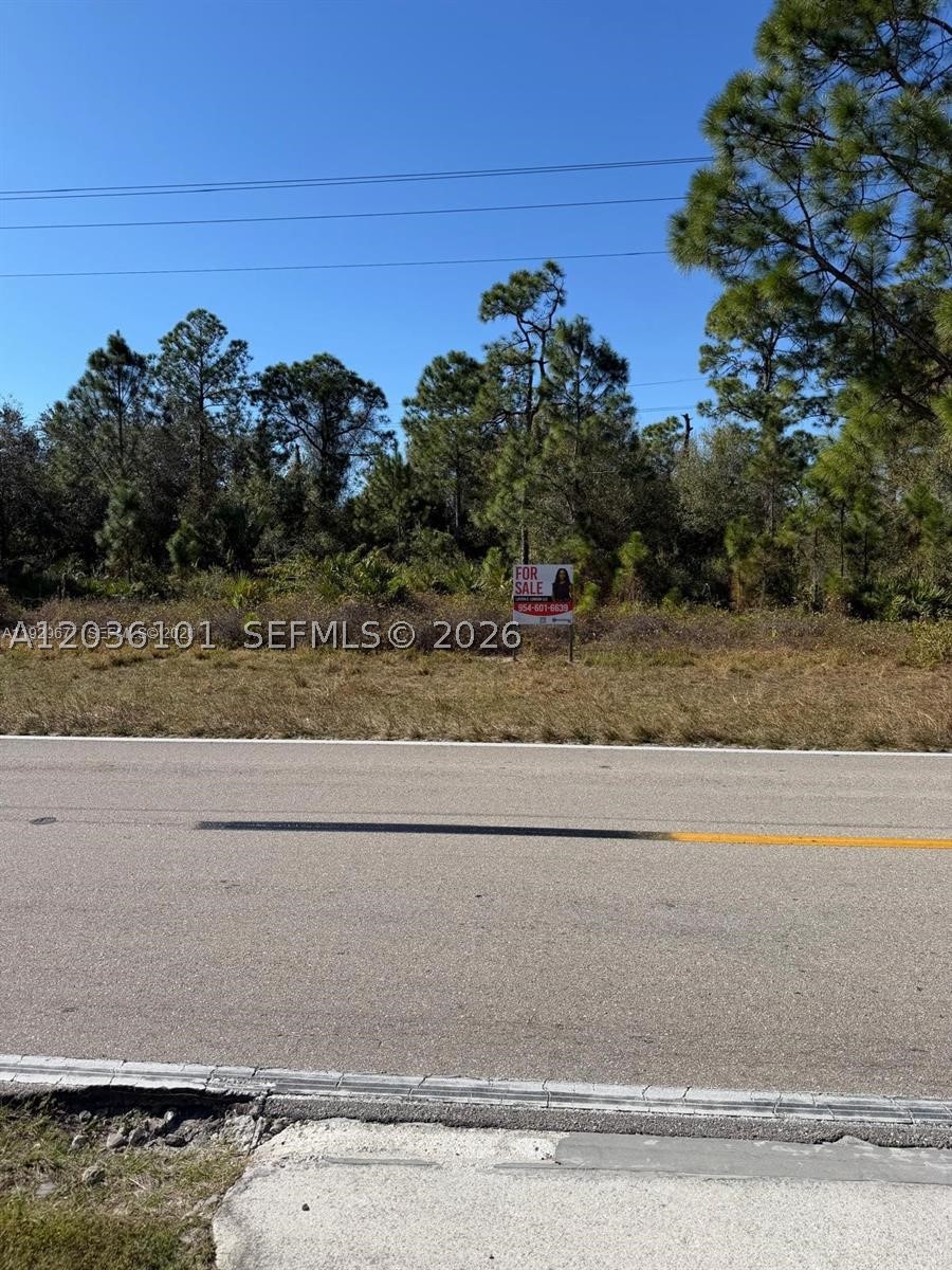 Lehigh Acres - Land