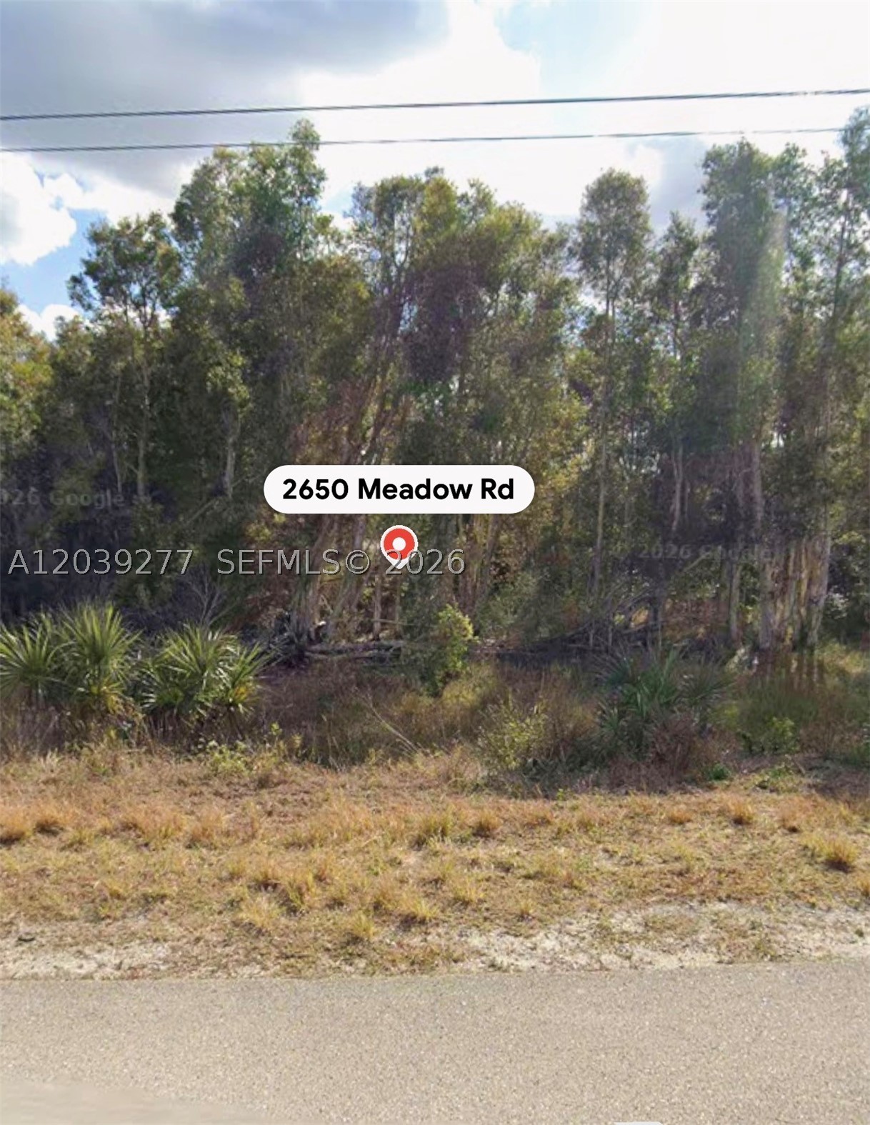 Lehigh Acres - Land