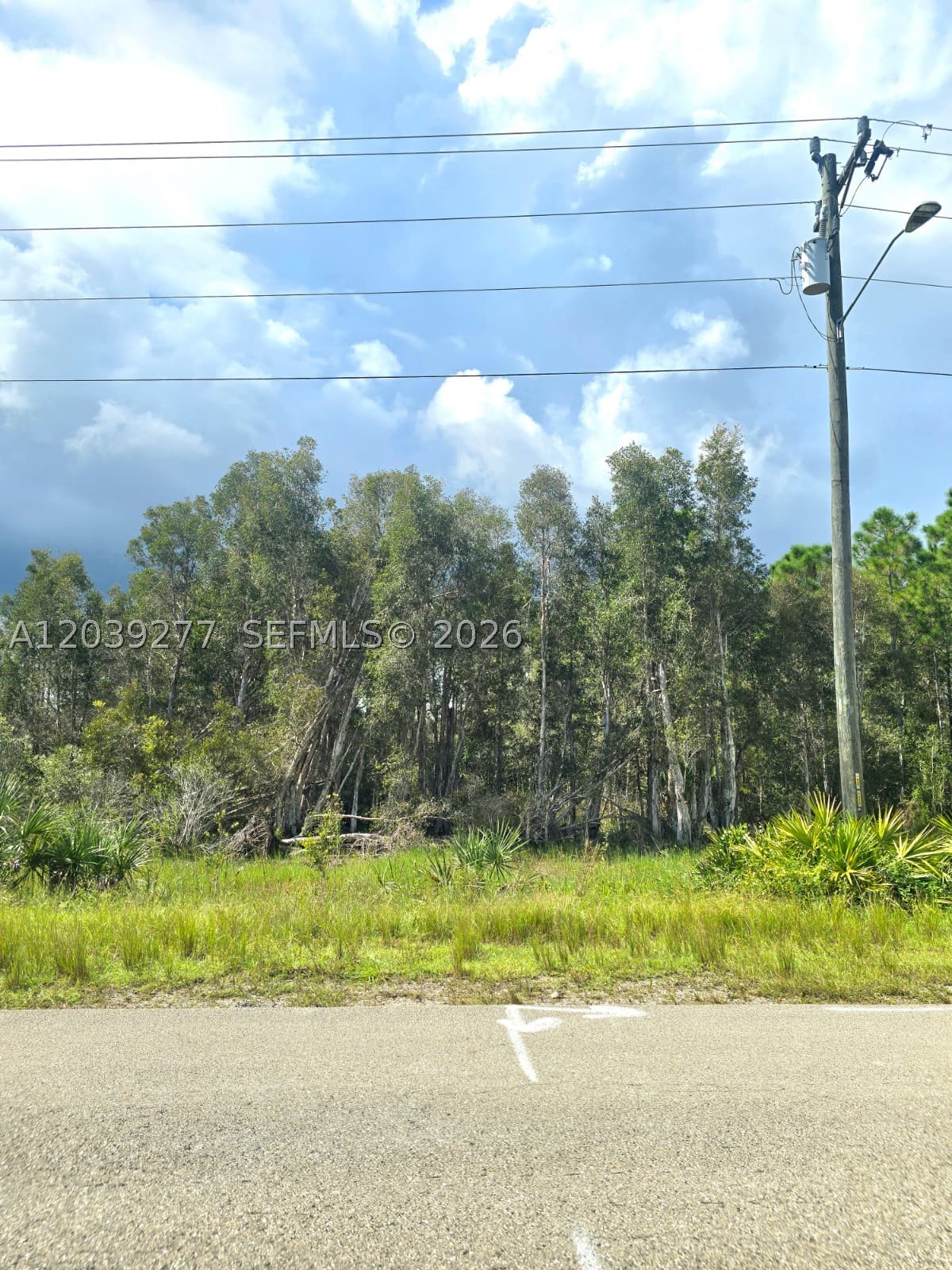 Commercially zoned lot offering 8,751 sq ft (±0.20 acres) located on Meadow Rd, a main thoroughfare in Lehigh Acres. Excellent opportunity to build and operate your own business, subject to county regulations. High visibility location with ongoing development and easy access to major roads. Ideal for investors or business owners seeking a presence in a growing area.