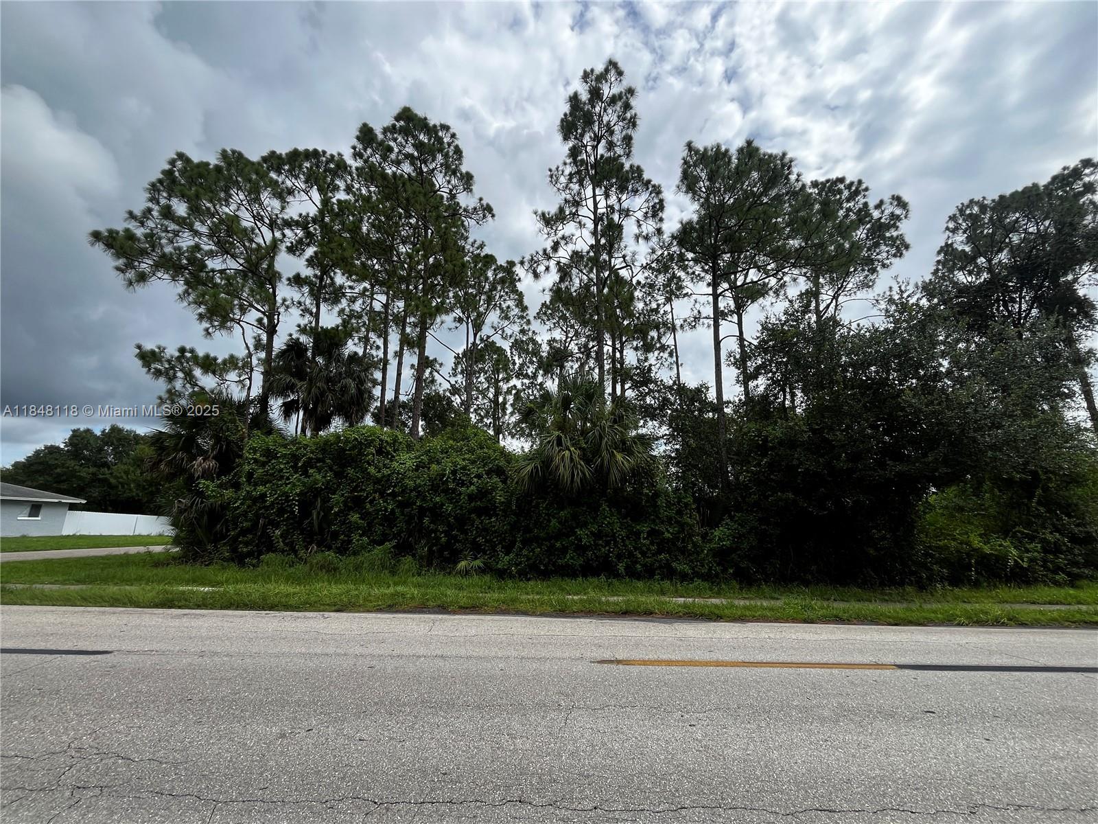 LEHIGH ACRES - Land