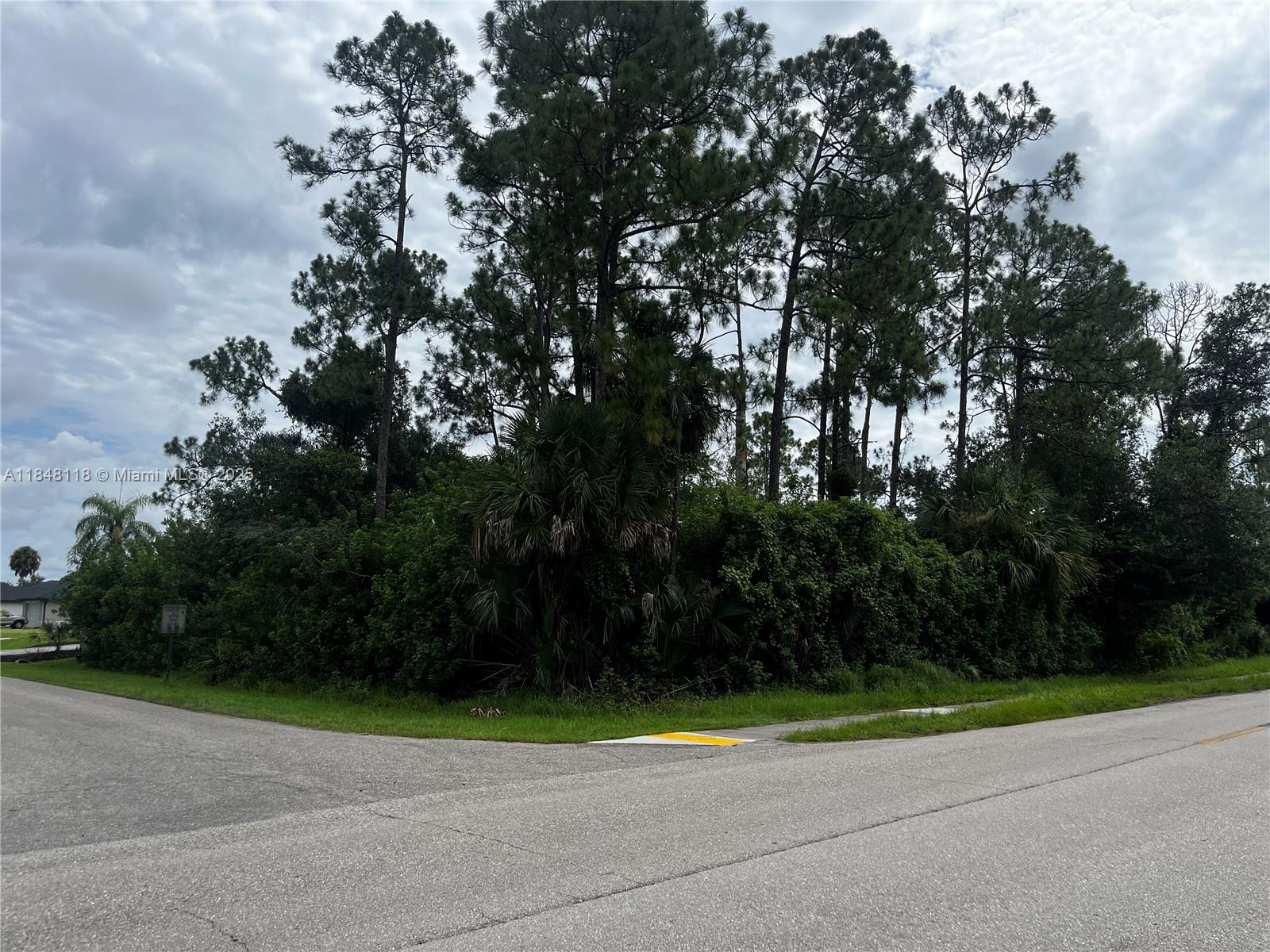 LEHIGH ACRES - Land