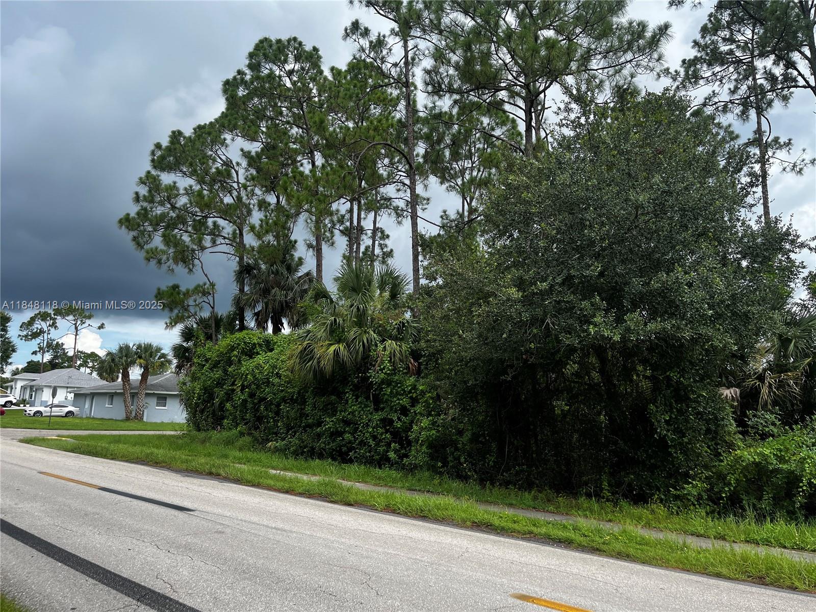 LEHIGH ACRES - Land