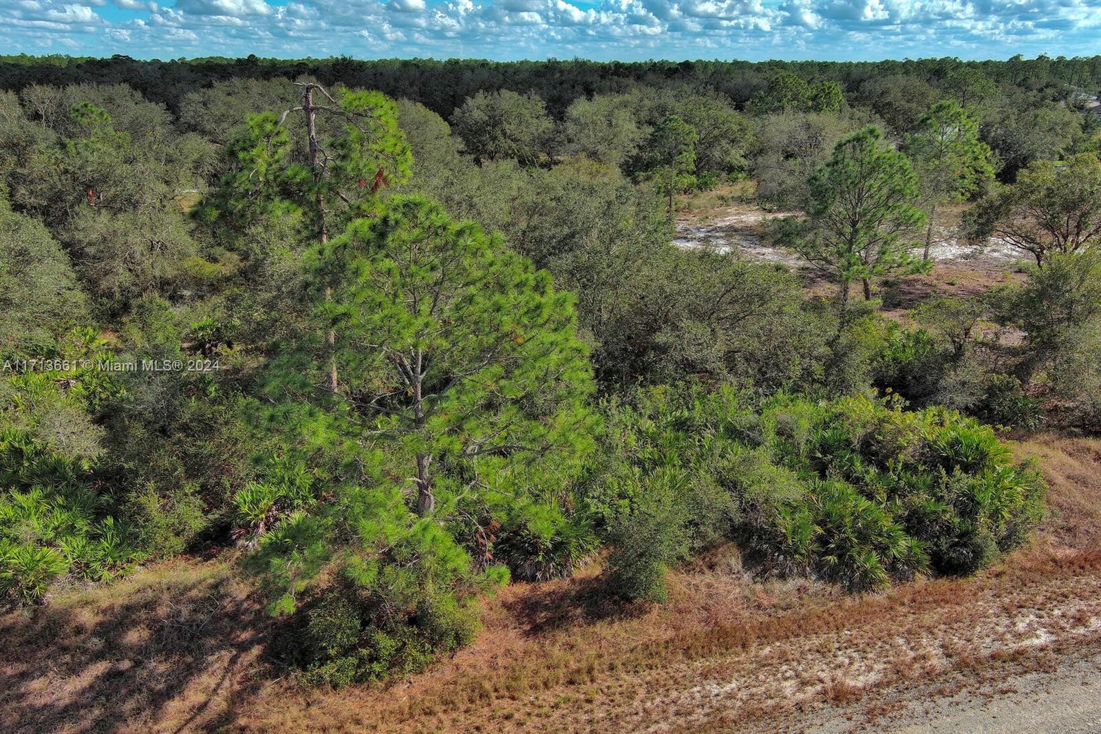 LEHIGH ACRES - Land