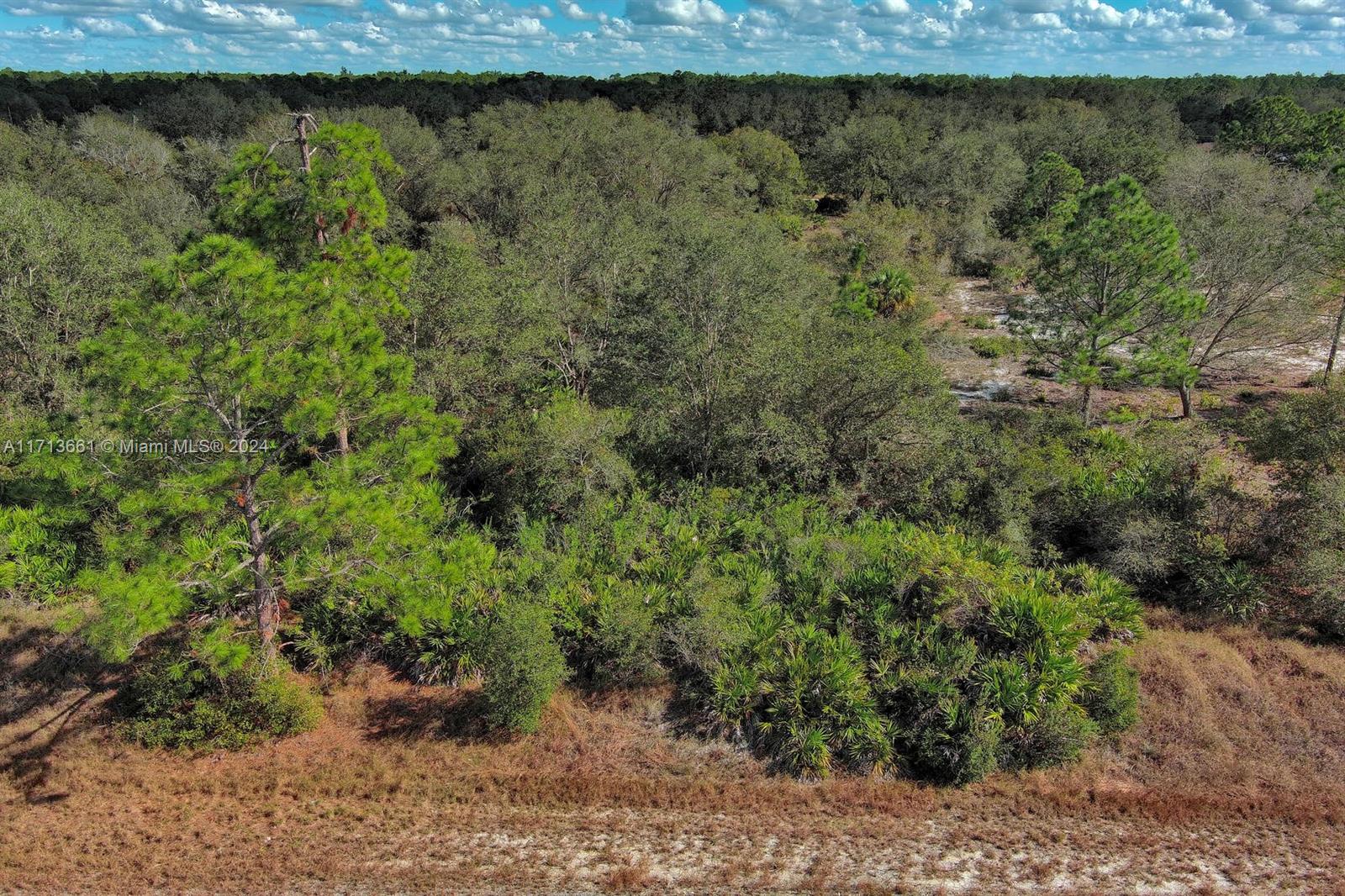 LEHIGH ACRES - Land