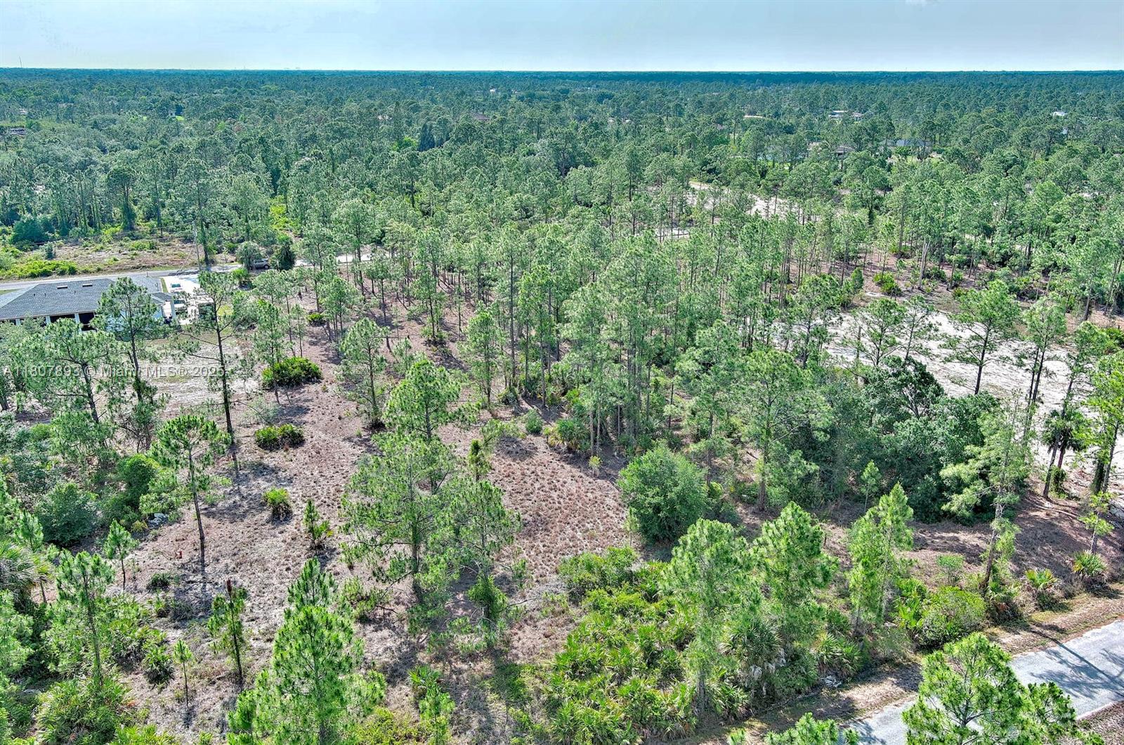 LEHIGH ACRES - Land