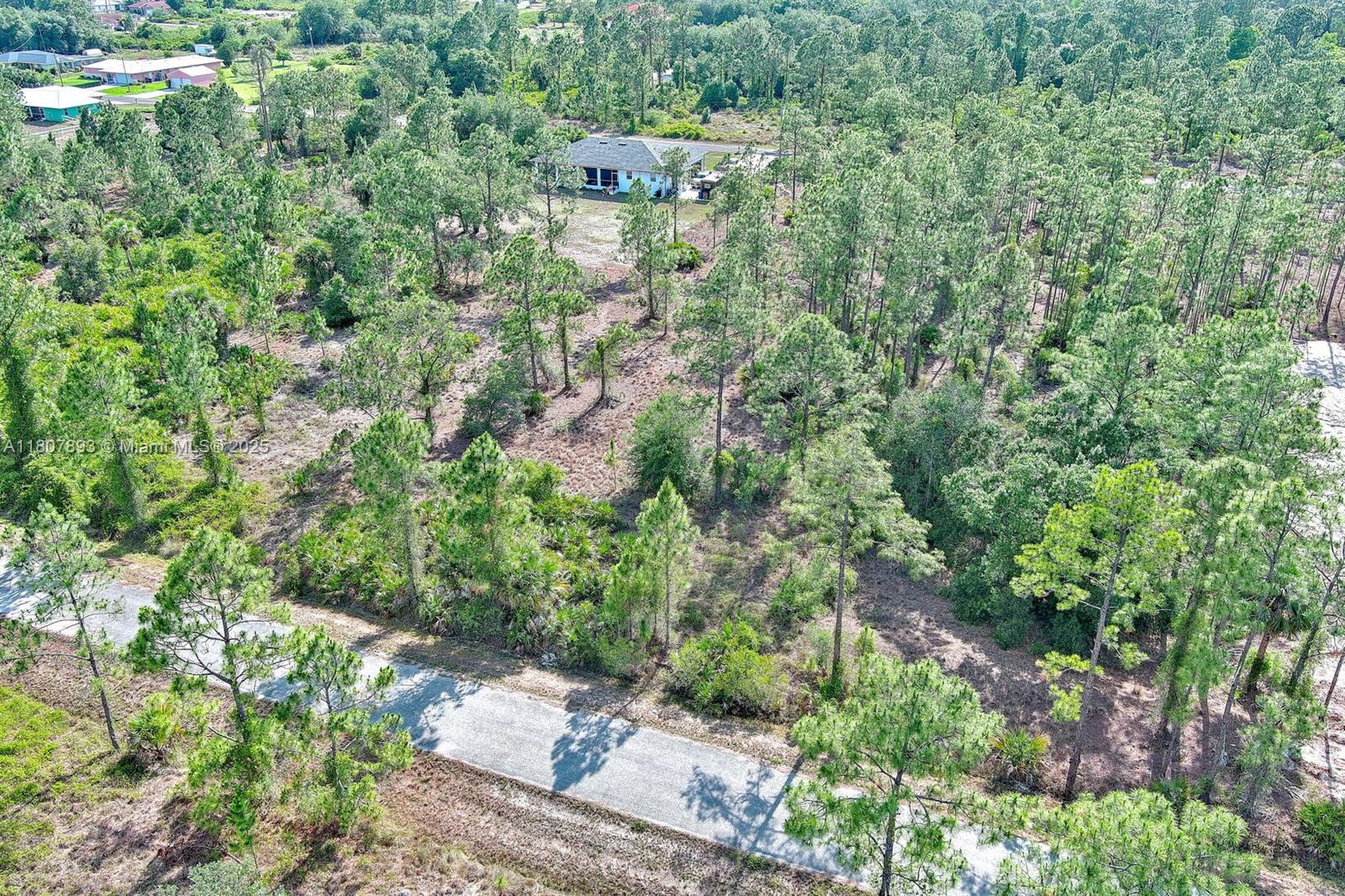 LEHIGH ACRES - Land
