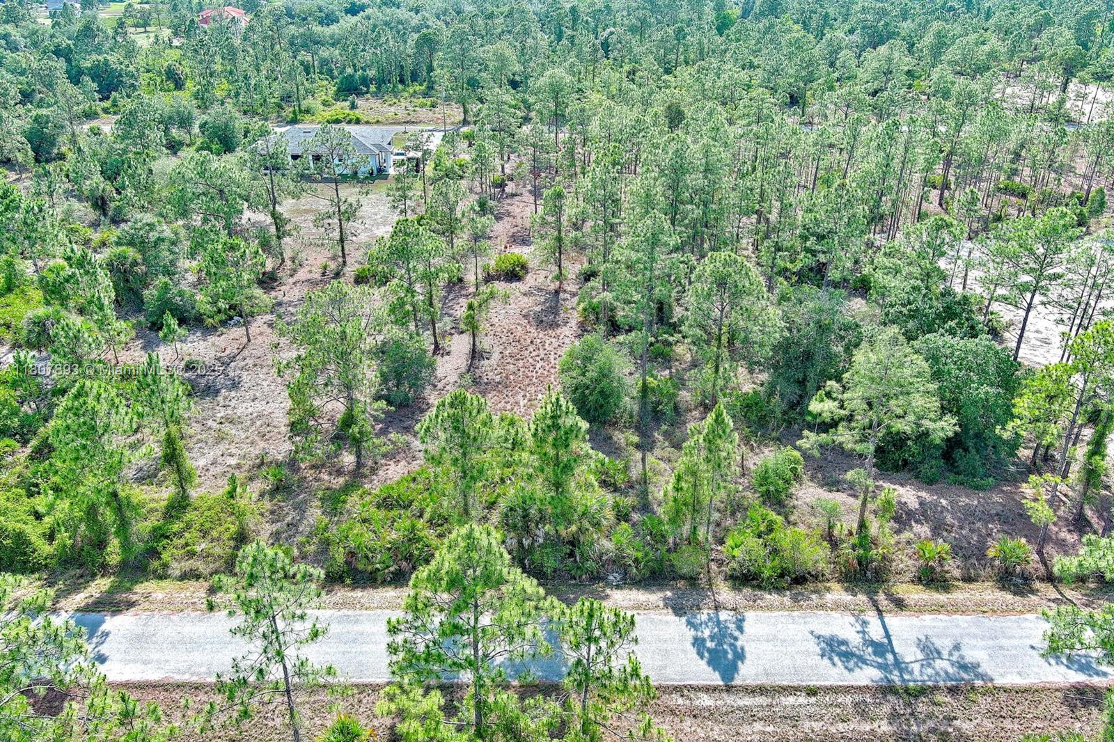 LEHIGH ACRES - Land